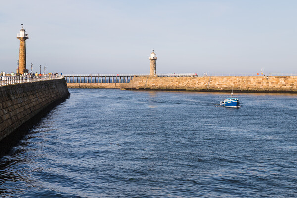 Fishing boat enters Whitby harbour Picture Board by Jason Wells