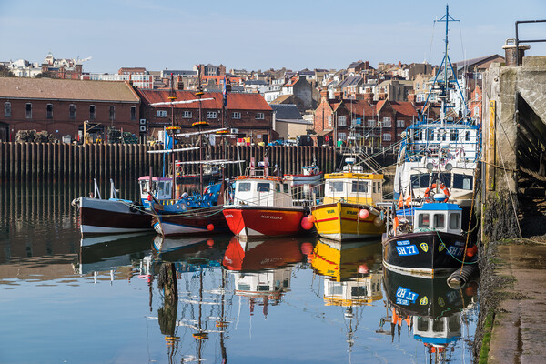 Colourful fishing boats in Scarborough harbour Picture Board by Jason Wells