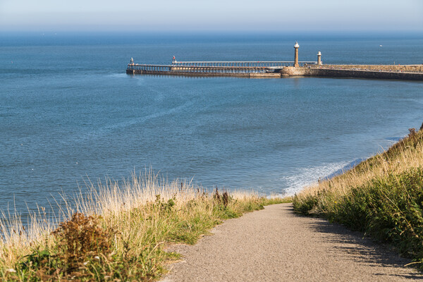 Pathway down to Whitby sands Picture Board by Jason Wells
