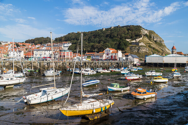 Low tide in Scarborough harbour Picture Board by Jason Wells