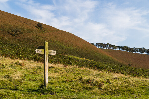 Traidtional sign post on the North Yorkshire Moors Picture Board by Jason Wells