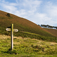 Buy canvas prints of Traidtional sign post on the North Yorkshire Moors by Jason Wells