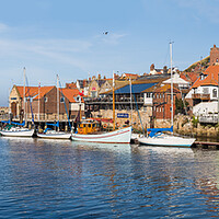 Buy canvas prints of Yachts lined up in Whitby harbour by Jason Wells