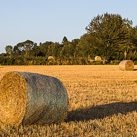 Buy canvas prints of Hay bales in a small field by Jason Wells