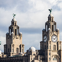 Buy canvas prints of Looking up at the Royal Liver Building by Jason Wells