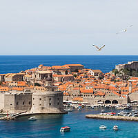 Buy canvas prints of Sea gulls over the old town of Dubrovnik by Jason Wells