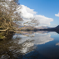 Buy canvas prints of Tree overhanging Derwent Water by Jason Wells