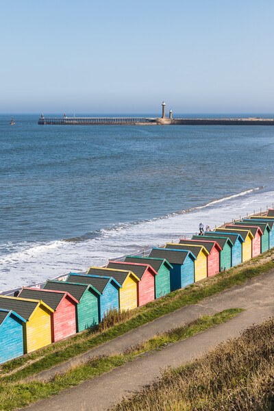 Winding paths to the beach huts at Whitby Picture Board by Jason Wells