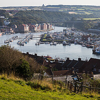 Buy canvas prints of Whitby Marina full of boats by Jason Wells
