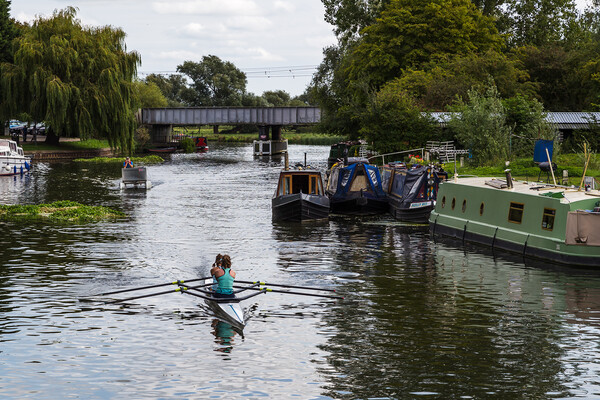Rowing on the Great River Ouse Picture Board by Jason Wells