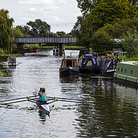 Buy canvas prints of Rowing on the Great River Ouse by Jason Wells