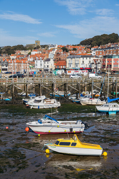 Colourful boats in Scarborough harbour Picture Board by Jason Wells