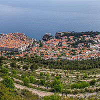 Buy canvas prints of Looking down on Dubrovnik Old Town by Jason Wells