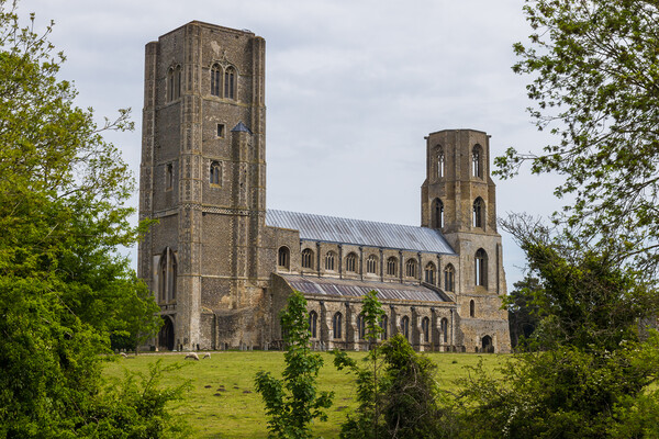 Wymondham Abbey between the trees Picture Board by Jason Wells