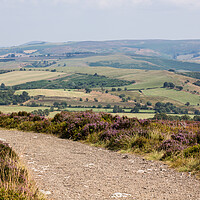 Buy canvas prints of Looking over Stiperstones in Shropshire by Jason Wells