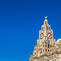 Buy canvas prints of Royal Liver Building against a clear blue sky by Jason Wells