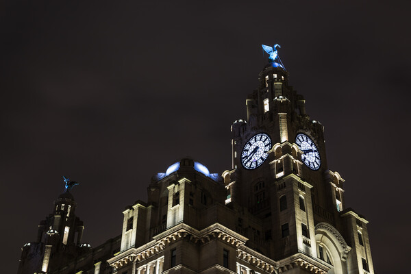 Liver Birds above Liverpool lit up at night Picture Board by Jason Wells