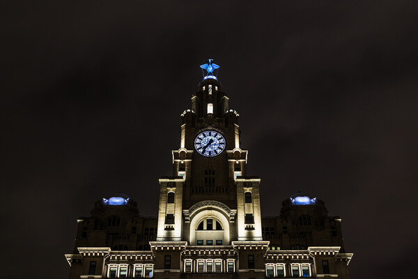 Looking up at the Liver Building at night Picture Board by Jason Wells