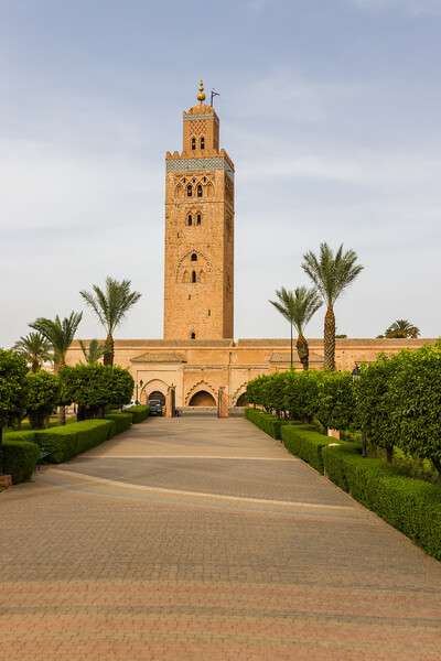 Koutoubia mosque in Marrakesh Picture Board by Jason Wells