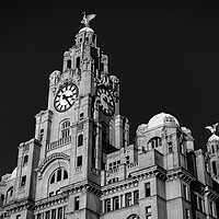 Buy canvas prints of Royal Liver Building in monochrome by Jason Wells