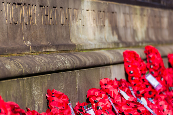 Poppy wreathes at Liverpool cenotaph Picture Board by Jason Wells