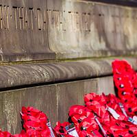 Buy canvas prints of Poppy wreathes at Liverpool cenotaph by Jason Wells