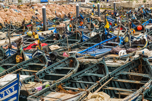 Wooden fishing boats lined up in Agadir harbour Picture Board by Jason Wells
