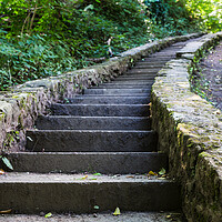 Buy canvas prints of Steps to Ewloe Castle by Jason Wells