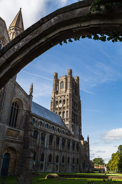 Ely Cathedral through an archway Picture Board by Jason Wells