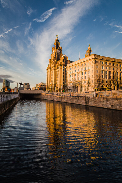 Reflections of the Liver Building at dusk Picture Board by Jason Wells