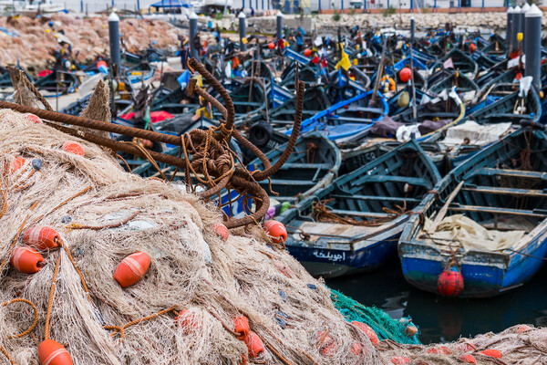 Anchors and nets in front of Agadir harbour Picture Board by Jason Wells