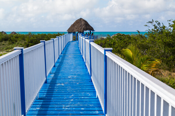 Walkway leading to Playa Pilar Picture Board by Jason Wells