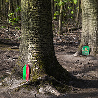 Buy canvas prints of Doorways to fairy houses by Jason Wells