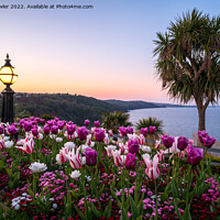 Buy canvas prints of  Babbacombe Downs, Torquay  by John Fowler