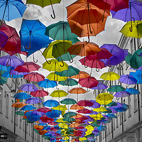 Buy canvas prints of Brolly Walk by Charlotte Moon