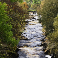 Buy canvas prints of  A View of the River Swale in North Yorkshire by Richard Pinder