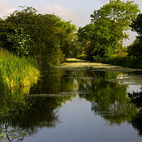 Buy canvas prints of Driffield Canal by Richard Pinder