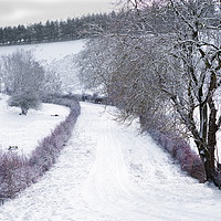Buy canvas prints of Yorkshire Wolds Road in Winter. by Richard Pinder