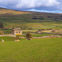 Buy canvas prints of Swaledale, North Yorkshire. by Richard Pinder