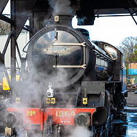 Buy canvas prints of Thompson Class B1 No. 1264 Steam Engine. by Richard Pinder
