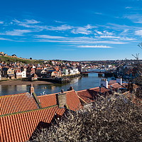 Buy canvas prints of Whitby Harbour by Richard Pinder