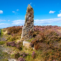 Buy canvas prints of Guide Stone on Egton High Moor. by Richard Pinder