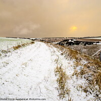 Buy canvas prints of Winter on the Yorkshire Wolds by Richard Pinder