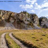 Buy canvas prints of Chalk Cliffs of the Yorkshire Wolds by Richard Pinder
