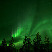 Buy canvas prints of The Aurora Borealis Dances Across the Sky by Teresa Cooper