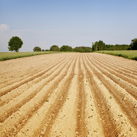 Buy canvas prints of Ploughed agriculture field empty by Arletta Cwalina
