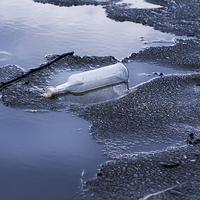 Buy canvas prints of glass bottle garbage on melting ice on lake  by Arletta Cwalina