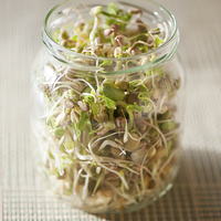 Buy canvas prints of Many cereal sprouts growing in glass jar  by Arletta Cwalina