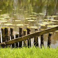 Buy canvas prints of broken wooden fence on pond shore by Arletta Cwalina