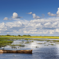 Buy canvas prints of wooden boat in Biebrza wetland area by Arletta Cwalina